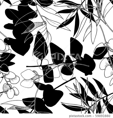 Vector Eucalyptus leaves branch. Black and white engraved ink art. Seamless background pattern. 59891660