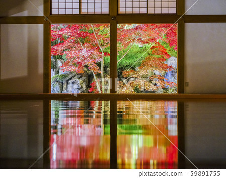 楓木地板1 59891755