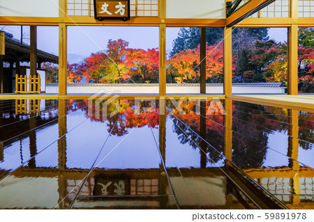 暮光之城楓 暮光之城楓 59891978