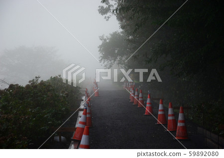 Dense fog 59892080
