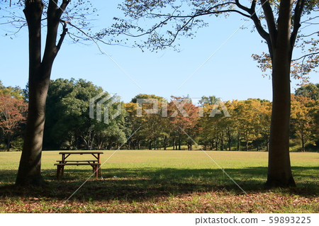 秋天的公園 秋天的公園 59893225