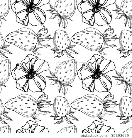Vector strawberry fresh berry healthy food. Black and white engraved ink art. Seamless background 59893659