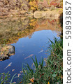 Autumn lake 59893857