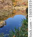 Autumn lake 59893859