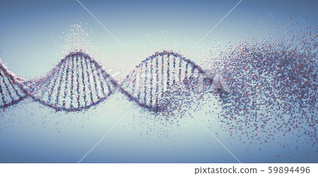 Oxidative DNA Damage Genetic Disorder Molecular 59894496