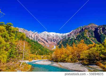 Autumn leaves of Kamikochi [Nagano Prefecture] 59894635