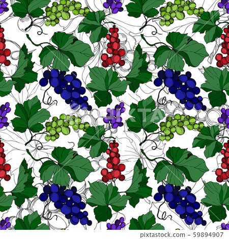 Vector Grape berry healthy food. Black and white engraved ink art. Seamless background pattern. 59894907