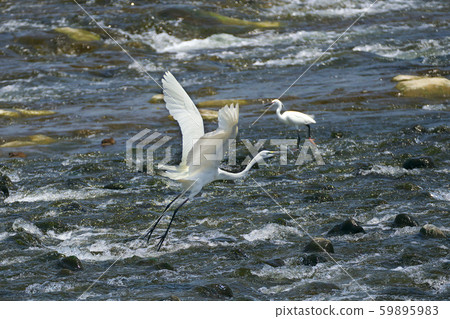 Flight of Daisuke Flight of Daisuke 59895983