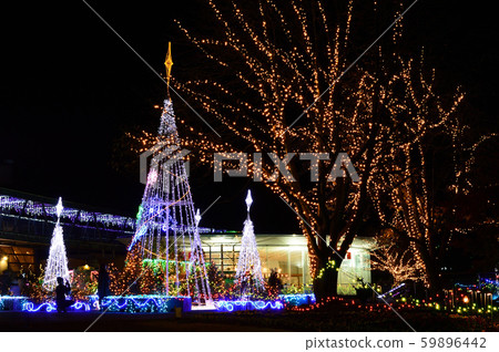 照明和鳥取花走廊 59896442