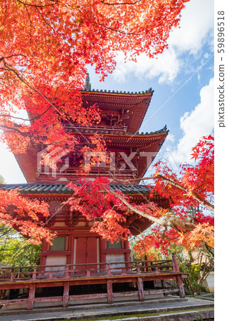 秋天神戶/台山寺/三重塔 秋天神戶/台山寺/三重塔 59896518