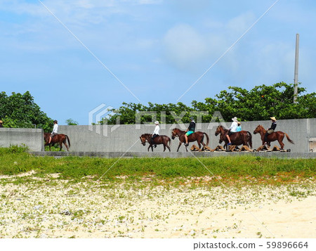 Yonaguni Island (underwater riding) 59896664