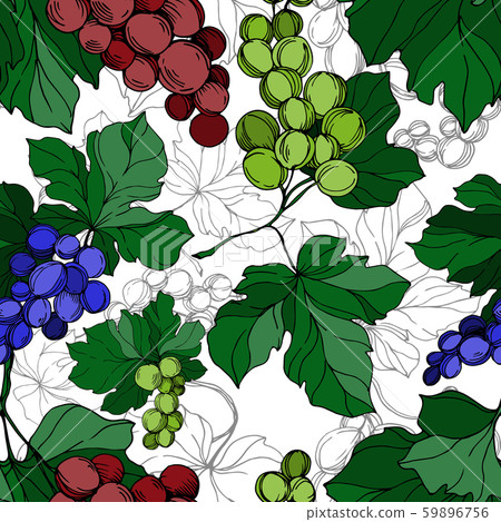 Vector Grape berry healthy food. Black and white engraved ink art. Seamless background pattern. Vector Grape berry healthy food. Black and white engraved ink art. Seamless background pattern. 59896756