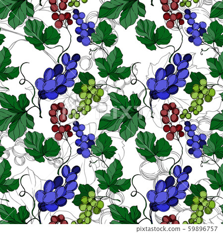 Vector Grape berry healthy food. Black and white engraved ink art. Seamless background pattern. 59896757