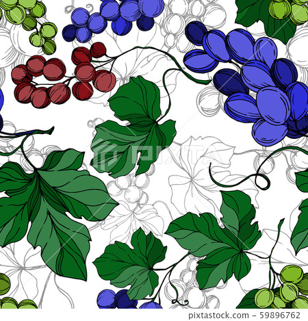 Vector Grape berry healthy food. Black and white engraved ink art. Seamless background pattern. Vector Grape berry healthy food. Black and white engraved ink art. Seamless background pattern. 59896762