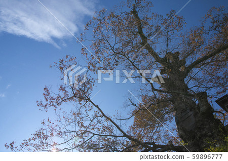Mt. Mitake in autumn Mt. Mitake in autumn 59896777