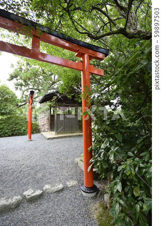 龍安寺本田島本泰天 59897503