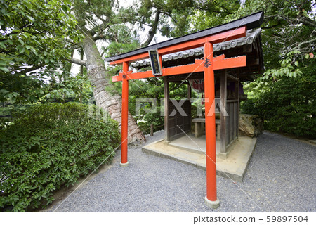 龍安寺本田島本泰天 龍安寺本田島本泰天 59897504