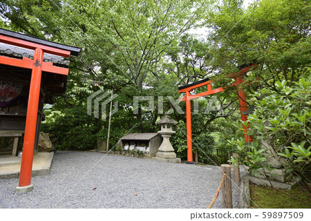 龍安寺本田島本泰天 龍安寺本田島本泰天 59897509