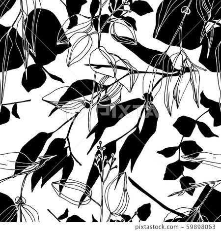 Vector Eucalyptus tree leaves jungle botanical. Black and white engraved ink art. Seamless Vector Eucalyptus tree leaves jungle botanical. Black and white engraved ink art. Seamless 59898063