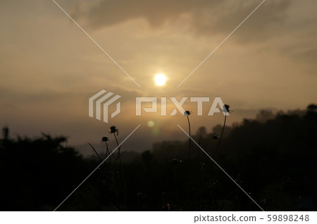 廟入口早晨太陽花花園 59898248