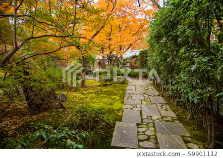 三重縣桑名市盛野公園秋季公開展覽 三重縣桑名市盛野公園秋季公開展覽 59901112