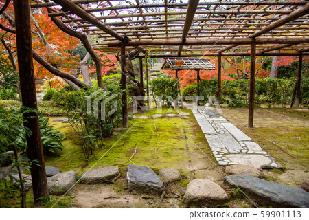 Public exhibition in autumn of Moroto Garden in Kuwana, Mie Prefecture Public exhibition in autumn of Moroto Garden in Kuwana, Mie Prefecture 59901113