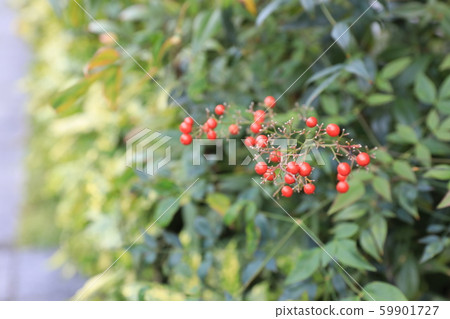 南方的天空 59901727