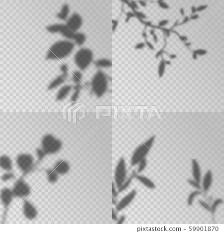Overlay shadows. Transparent soft light, shadow leaves and plant branches natural lightning Overlay shadows. Transparent soft light, shadow leaves and plant branches natural lightning 59901870
