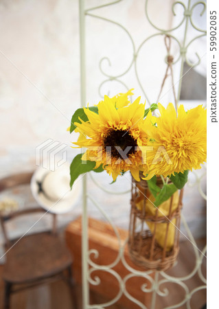 Two sunflowers Two sunflowers 59902085