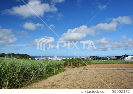 Okinawa scenery 59902372