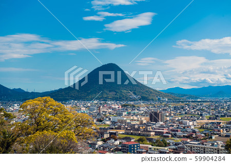Sanuki Fuji from Marugame Castle 59904284