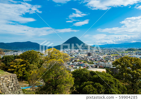 Sanuki Fuji from Marugame Castle 59904285