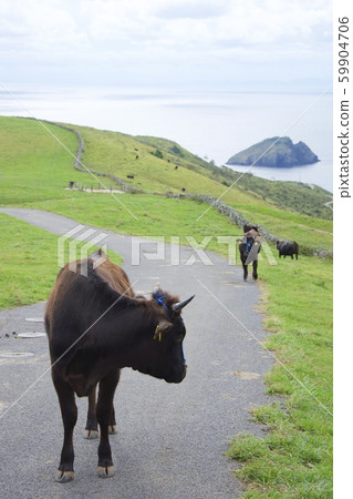 Chisato島紅色禿頭山（島根縣衝木郡桃尾村）的景色 59904706