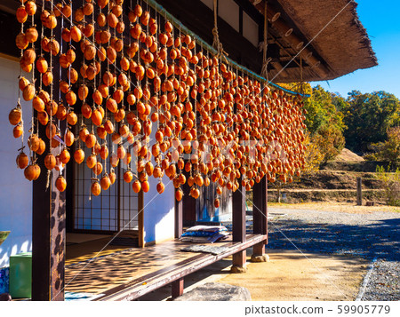 Japanese cypress and Japanese house 59905779