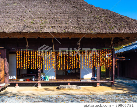 Thatched private house and raisins 59905781