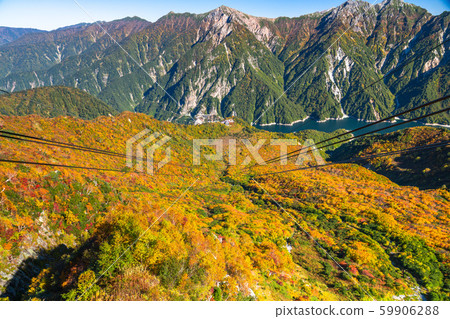 <富山縣>黑部平和立山黑部阿爾卑斯山脈的紅葉 <富山縣>黑部平和立山黑部阿爾卑斯山脈的紅葉 59906288