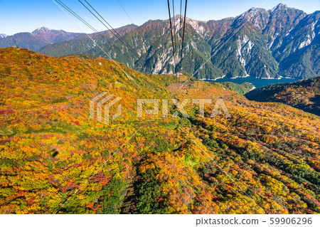 <Toyama Prefecture> Autumn leaves of Kurobedaira and Tateyama Kurobe Alpine Route <Toyama Prefecture> Autumn leaves of Kurobedaira and Tateyama Kurobe Alpine Route 59906296