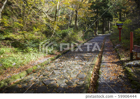 Okamiyama Shrine Okumiya approach (Oyama, Tottori Prefecture) Okamiyama Shrine Okumiya approach (Oyama, Tottori Prefecture) 59906444