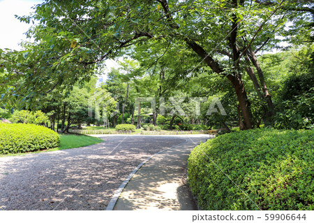 Walk through the lush summer garden 59906644