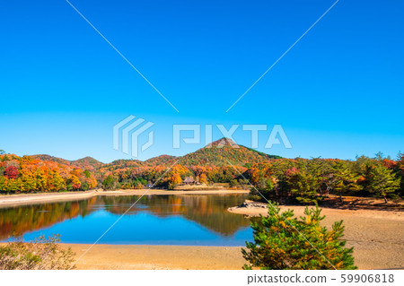 Autumn leaves of Arima Fuji Park Autumn leaves of Arima Fuji Park 59906818