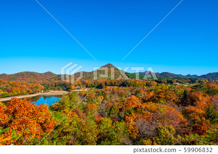 Autumn leaves of Arima Fuji Park Autumn leaves of Arima Fuji Park 59906832
