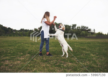 Attractive young woman with dog outdoors. Gril on a green grass with labrador retriever Attractive young woman with dog outdoors. Gril on a green grass with labrador retriever 59907130