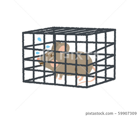 鼠標捕捉 59907309