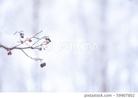 Winter blurred  background, with space for text. 59907802