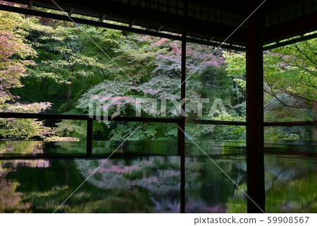 京都的Momiji辦公桌 京都的Momiji辦公桌 59908567