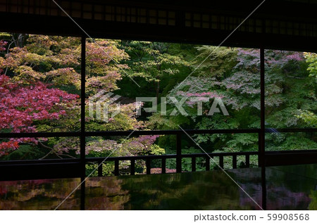 京都的Momiji辦公桌 59908568