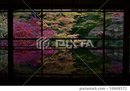 京都的Momiji辦公桌 59908572