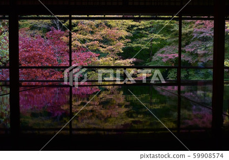 Momiji desk in Kyoto 59908574