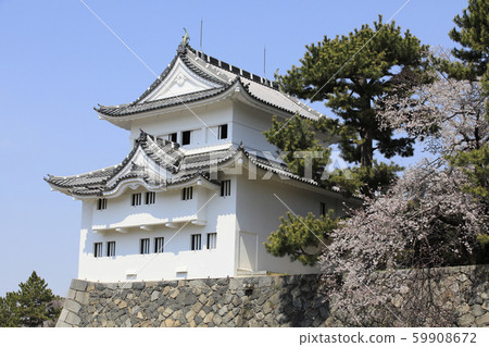 Nagoya Castle Spring Nagoya Castle Sumio Nagoya Nagoya Castle Spring Nagoya Castle Sumio Nagoya 59908672