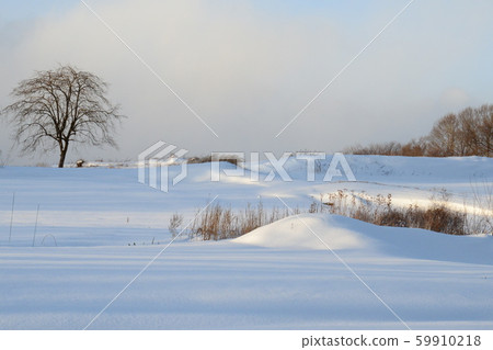 A blue snowy field created by heavy snowfall 59910218